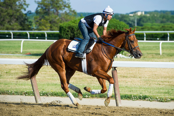 Belmont Stakes contender The Truth Or Else, trained by Kenny McPeek, breezes at Belmont Park in Elmont, New York.