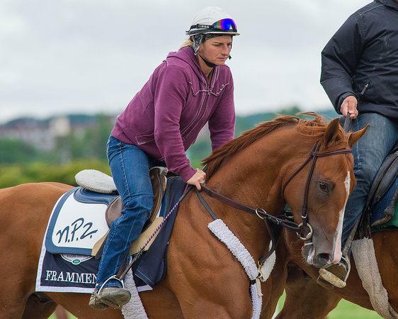 Belmont Stakes (GI) contender Frammento, trained by Nick Zito, jogs over the main track for the first time since arriving at Belmont Park in Elmont, New York.