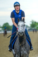 Belmont Stakes (GI) contender Frosted backtracks before heading out for a gallop with exercise rider Rob Massey.