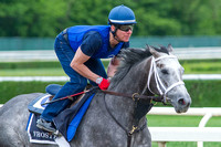 Belmont Stakes (GI) contender Frosted gallops with exercise rider Rob Massey.