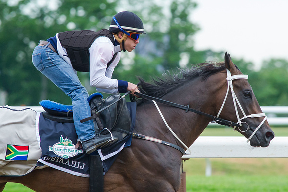 Mubtaahij worked three furlongs in 38.40 seconds in preparation for the Belmont Stakes (GI) at Belmont Park in Elmont, New York.