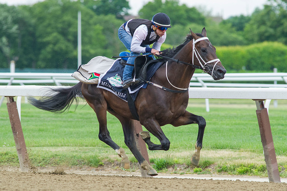 Mubtaahij worked three furlongs in 38.40 seconds in preparation for the Belmont Stakes (GI) at Belmont Park in Elmont, New York.