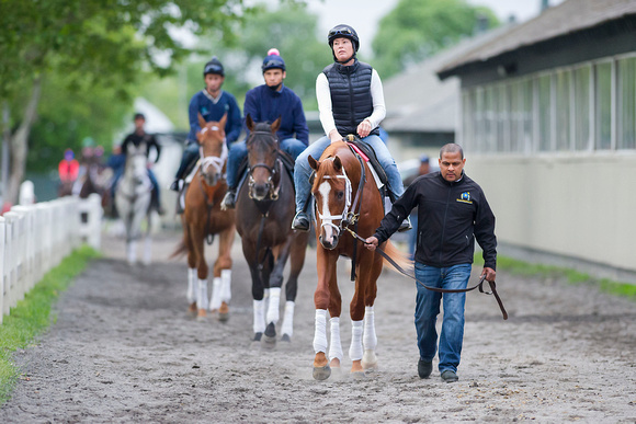 Madefromlucky, winner of the Peter Pan Stakes (GI), leads the first set of Todd Pletcher trained horses to gallop on the training track at Belmont Park in Elmont, New York.