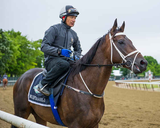 Mubtaahij jogs on the main track in preparation for the Belmont Stakes (GI) at Belmont Park in Elmont, New York.