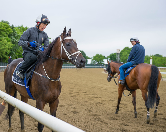 Mubtaahij is admired by other riders as he prepares for his jog on the main track in preparation for the Belmont Stakes (GI) at Belmont Park in Elmont, New York.