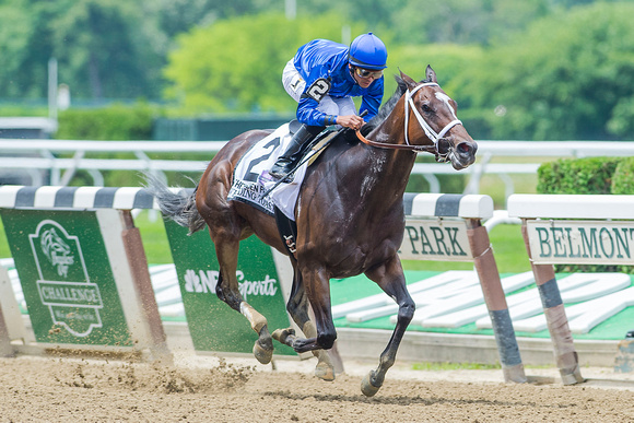 Wedding Toast, ridden by Jose Lezcano and trained by Kieran McLaughlin wins the Ogden Phipps Stakes (GI) at Belmont Park in Elmont, New York.