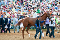 I'll Have Another walking over to the paddock for Kentucky Derby