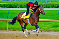 Commanding Curve gallops around the race track at Churchill Downs in Louisville, Kentucky, in preparation for the 140th Kentucky Derby.