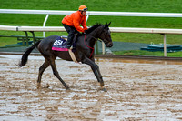 Andreya's Reward, trained by Milton Wolfson, gallops in preparation for the Breeders' Cup Juvenile Filles Turf (GI).