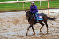 Cocked And Loaded, trained by Larry Rivelli, gallops at Keeneland Race Course in preparation for the Breeders' Cup Sentient Jet Juvenile (GI).