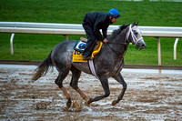 Frosted, trained by Kieran McLaughlin, gallops at Keeneland Race Course in preparation for the Breeders' Cup Classic (GI).