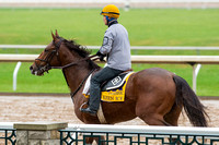 Keen Ice, trained by Dale Romans, gallops in preparation for the Breeders' Cup Classic (GI).