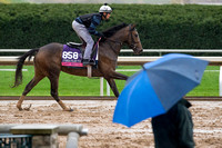 Last Waltz, trained by David Wachman, gallops during a rainstorm in preparation for the Breeders' Cup Juvenile Fillies Turf.