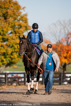 Scenes from Breakfast at the Breeders' Cup at Keeneland Race Course.