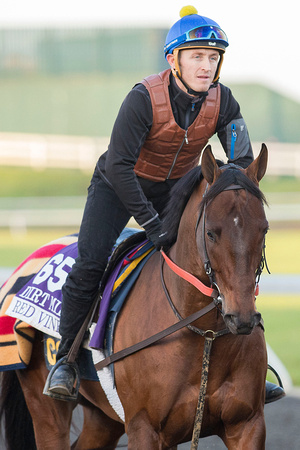 Red Vine, trained by Christophe Clement, prepares for the Breeders' Cup Dirt Mile (GI).