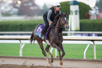 2015 Breeders' Cup Photo Diary Day 5
