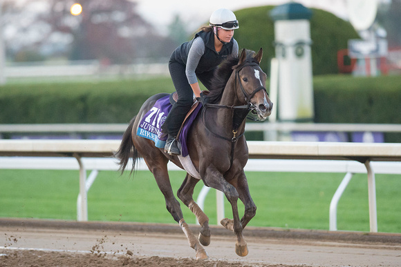 Riker, trained by Nicholas Gonzalez, gallops in preparation for the Sentient Jet Breeders' Cup Juvenile (GI).