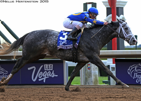 Liam's Map, Javier Castellano up, trained by Todd Pletcher, wins the Las Vegas Breeders' Cup Dirt Mile (GI).