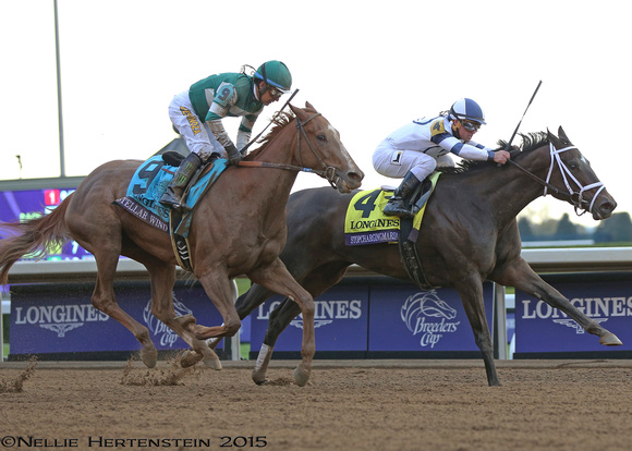 Stopchargingmaria, Javier Castellano up, trained by Todd Pletcher, wins the Longines Breeders' Cup Distaff (GI).