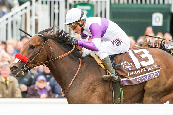 Nyquist, with Mario Gutierrez aboard, trained by Doug O'Neill, wins the Sentient Jet Breeders' Cup Juvenile (GI).