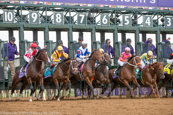 Scenes from the Breeders' Cup Wold Championships at Keeneland Race Course on October 31, 2015.
