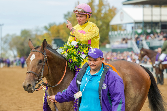 Wavell Avenue, Joel Rosario up, and trained by Chad Brown, wins the TwinSpires Breeders' Cup Filly & Mare Sprint (GI).