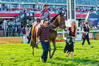 Javier Castellano and connections celebrate winning the 2013 GII