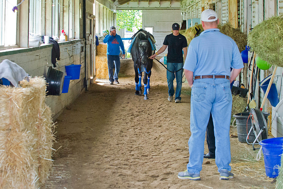 Trainer Kenny McPeek looks on at Frac Daddy walking shedrow befo