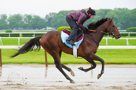 Kentucky Derby winner Orb gallops during morning workouts in pre