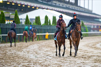 Kentucky Derby winner Orb walks on track during morning workouts