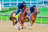 Danza gallops past stablemate My Miss Sophia as they both prepare for their races.