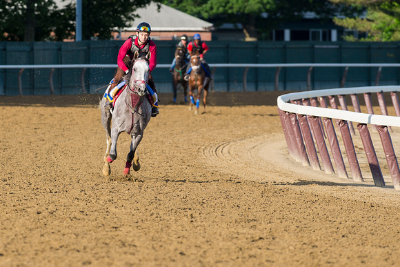 Belmont Stakes contender Lani, trained by Mikio Matsunaga, breezes on the main track at Belmont Park in Elmont, New York.