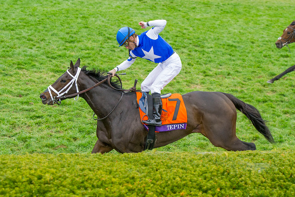 Tepin, ridden by Julien Leparoux, and trained by Mark Casse, wins the Breeders' Cup Mile (GI).