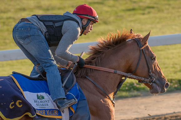 Belmont Stakes contender Governor Malibu, trained by Christophe Clement, gallops at Belmont Park in Elmont, New York.