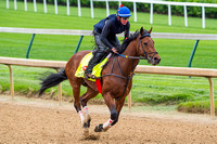 Discreetness, trained by William "Jinx" Fires, gallops in preparation for the Kentucky Derby in Louisville, Kentucky.