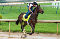 Kentucky Derby contender Mo Tom, trained by Tom Amoss, gallops at Churchill Downs in Louisville, Kentucky.