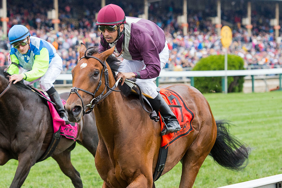 Marengo Road, ridden by Julien Pimentel, trained by Michael Trombetta, wins the James W. Murphy Stakes at Pimlico Race Course in Baltimore, Maryland.