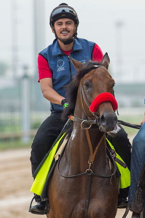 Exercise rider Jonny Garcia smiles aboard Kentucky Derby favorite Nyquist while jogging over the track at Churchill Downs.