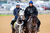 Creator, trained by Steve Asmussen, gallops in preparation for the Kentucky Derby at Churchill Downs in Louisville, Kentucky.