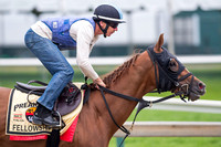 Fellowship, trained by Mark Casse, gallops during morning exercise at Pimlico Race Course in Baltimore, Maryland.