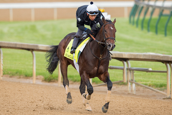 Shagaf, trained by chad Brown, gallops in preparation for the Kentucky Derby at Churchill Downs in Louisville, Kentucky.