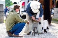 Blacksmith Steve Norman attaches a new shoe onto a horse.