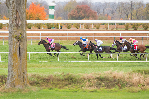 Scenes from the Breeders' Cup Wold Championships at Keeneland Race Course on October 31, 2015.