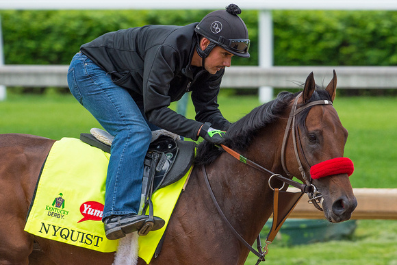 Nyquist, trained by Doug O'Neill, gallops in preparation for the Kentucky Derby in Louisville, Kentucky.