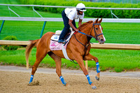 Kentucky Oaks 140 contender Rosalind turns in her daily exercise over the Churchill Downs oval.