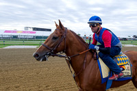Preakness contender Collected, trained by Bob Baffert, gallops during morning workouts at Pimlico Race Course in Baltimore, Maryland.