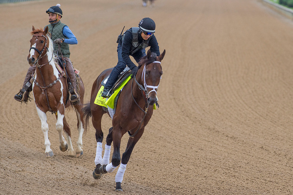 Outwork, trained by Todd Pletcher, gallops in preparation for the Kentucky Derby in Louisville, Kentucky.
