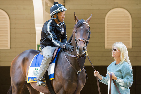 Assistant Trainer Julie Clark and exercise rider Peedy Landry lead Exaggerator into the paddock before hitting the track for exercise at Belmont Park in Elmont, New York.