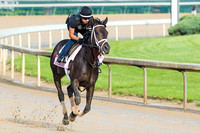Kentucky Oaks contender Mo d'Amour, trained by Todd Pletcher, gallops at Churchill Downs in Louisville, Kentucky.