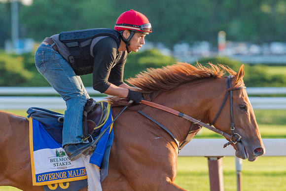 Belmont Stakes contender Governor Malibu, trained Christophe Clement, gallops in preparation for the Belmont Stakes at Belmont Park in Elmont, New York.